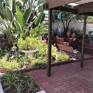 Aberdeen Terrace - 6 - garden patio.JPG