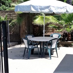 ARC Facility at Camino 2 - 3 - patio.jpg