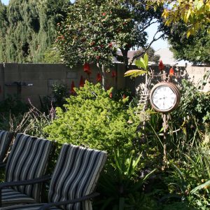 Granny's Garden III - 6 - back patio.JPG