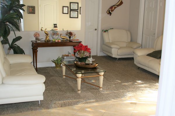 Infinity Home Care - 3 - living room.JPG