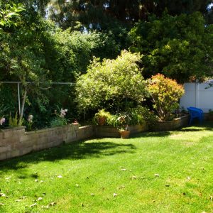 Irvine Cottage VII - 5 - back yard.jpg