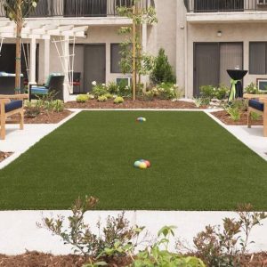 Sunnycrest Senior Living - putting green.JPG