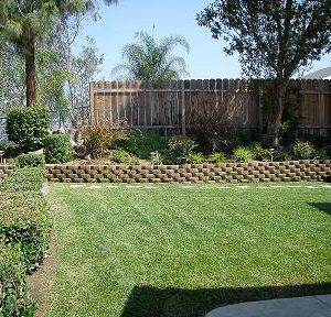 Via Tercero Homes - 6 - backyard.JPG